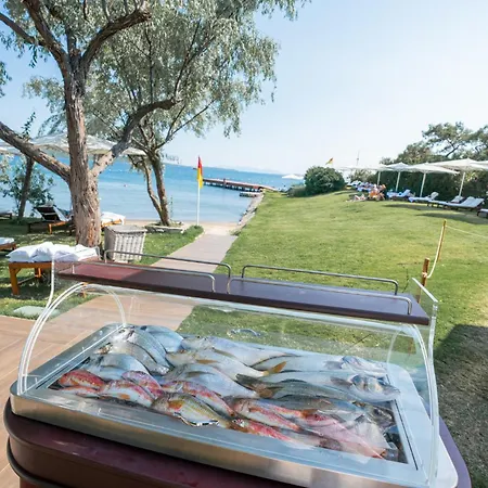 Ortunc - Cunda Island (adults Only) Ayvalı