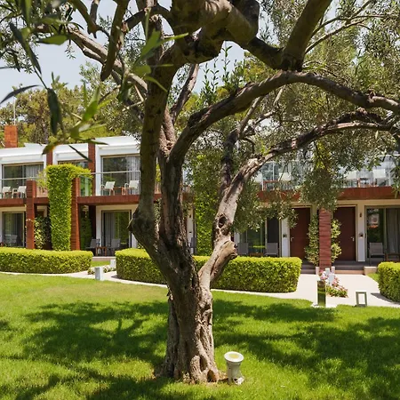 Ortunc - Cunda Island (adults Only) Отель 4*