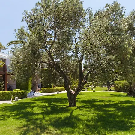 Ortunc - Cunda Island (adults Only) Айвалык