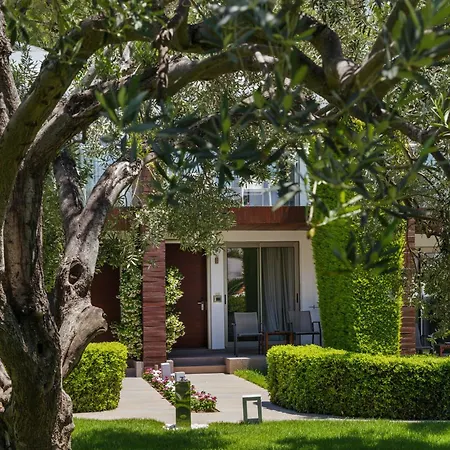 Ortunc - Cunda Island (adults Only) Hotel 4*