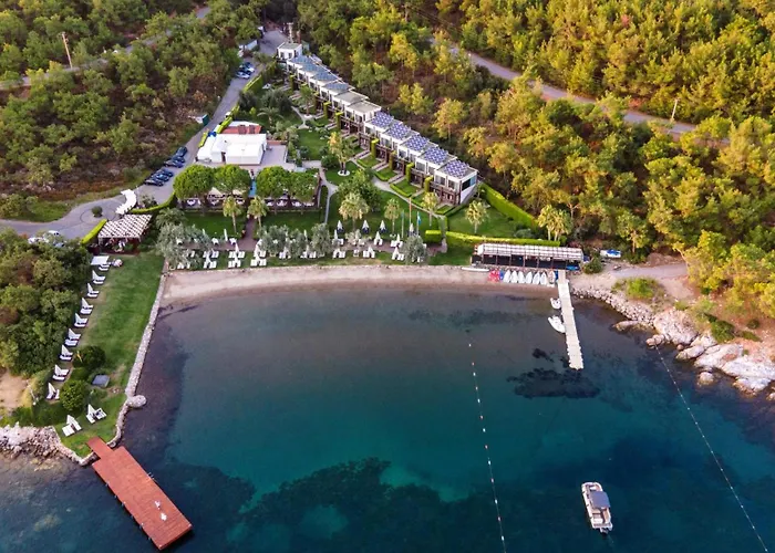 Ortunc - Cunda Island (adults Only) Ayvalı