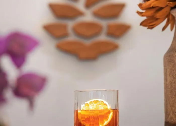 纯陀岛奥图克酒店 - （仅限成人） 4*