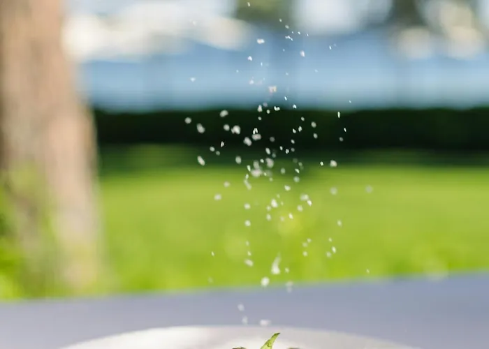 Ortunc - Cunda Island (adults Only) Hotel