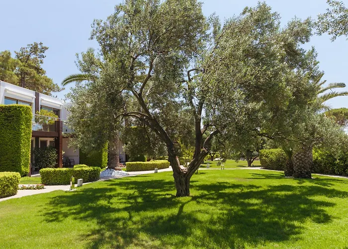 Ortunc - Cunda Island (adults Only) Ayvalı