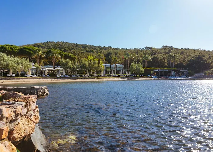 Ortunc - Cunda Island (adults Only) Ayvalı