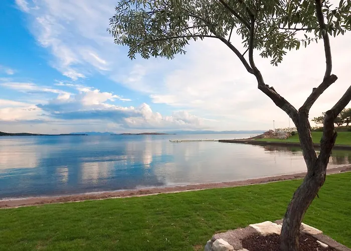 Ortunc - Cunda Island (adults Only) Ayvalı