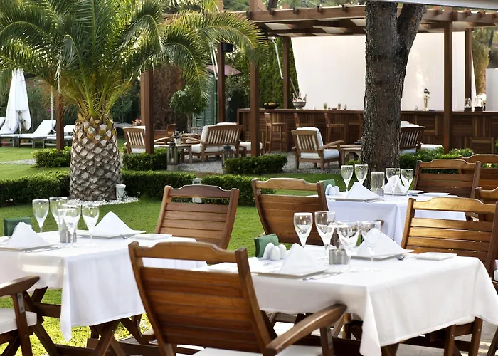 酒店 纯陀岛奥图克酒店 - （仅限成人） 4*