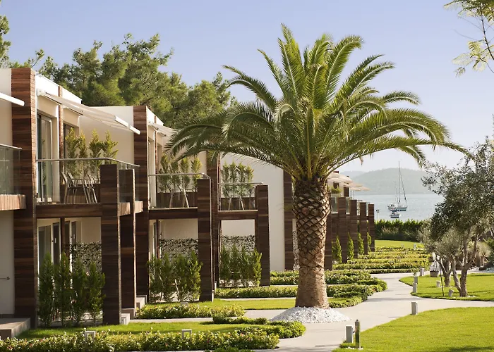 Ortunc - Cunda Island (adults Only) Hotel