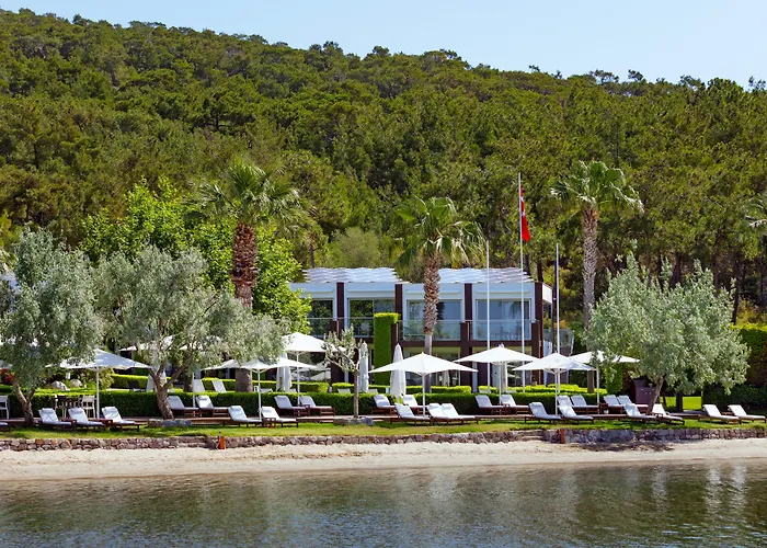 Ortunc - Cunda Island (adults Only) Ayvalı